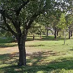 Collevento تريكينا