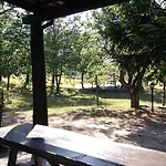 Collevento تريكينا