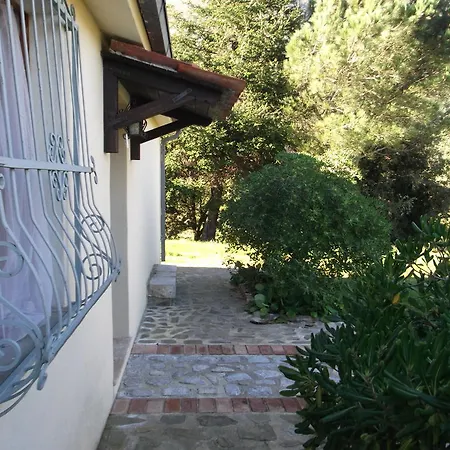 Collevento * تريكينا