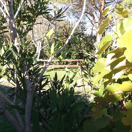 Landsted Collevento Trecchina