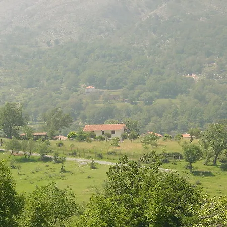 Collevento