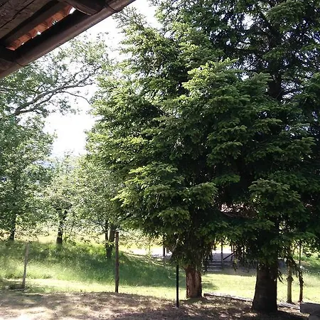 Collevento * Trecchina