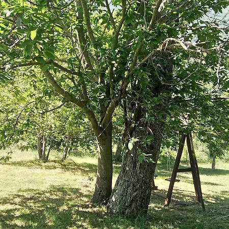 Collevento * Trecchina