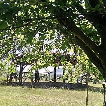 Collevento Landsted Trecchina