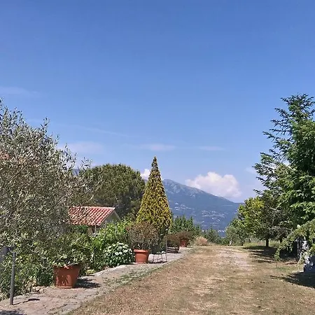 Collevento * Trecchina