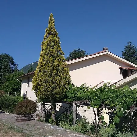 Collevento * Trecchina