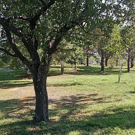 Collevento Trecchina